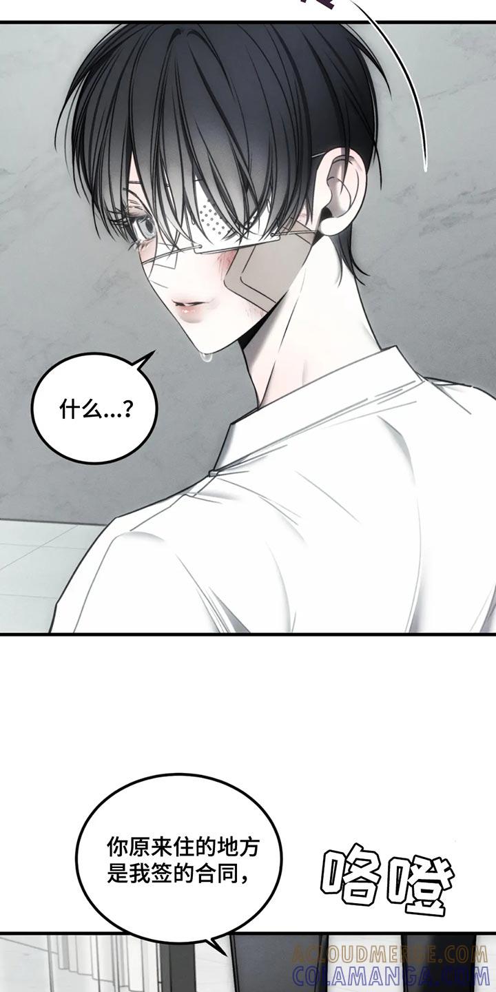 《暴动的追随》第63章：【第二季】以后也会永远爱你 第9页