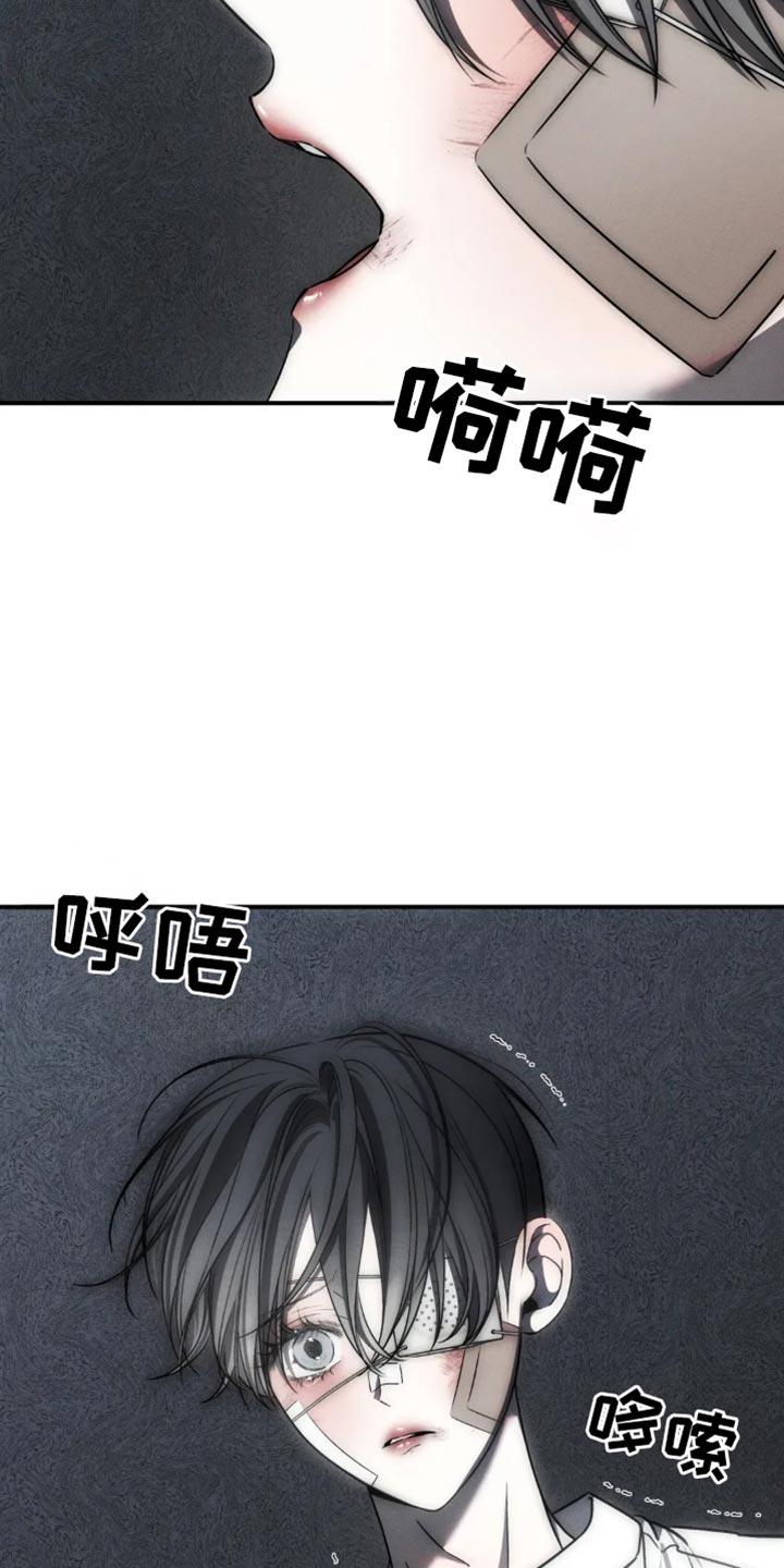 《暴动的追随》第64章：【第二季】你根本区分不了 第2页