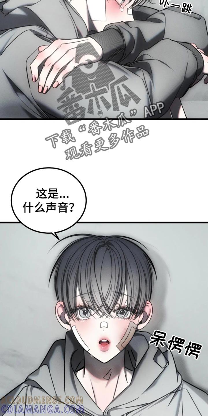 《暴动的追随》第68章：【第二季】我必须逃跑 第15页