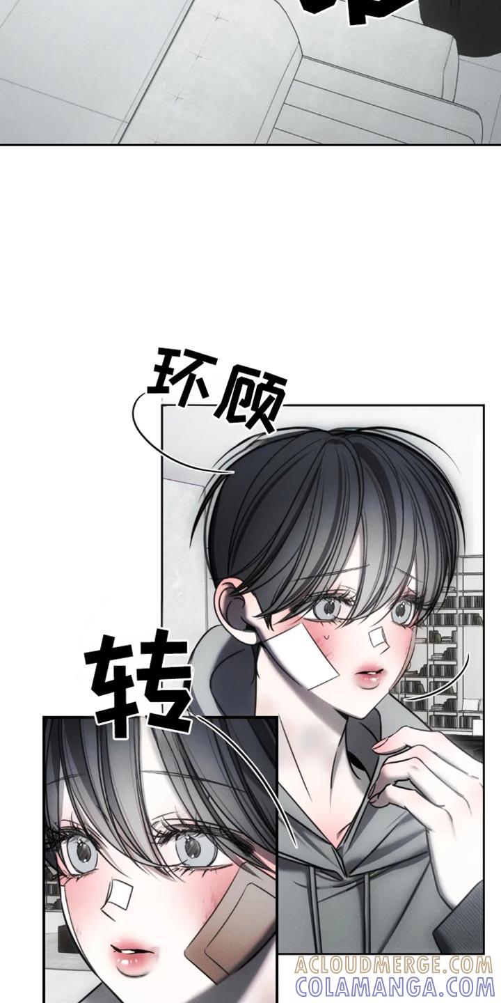 《暴动的追随》第69章：【第二季】躲藏 第3页