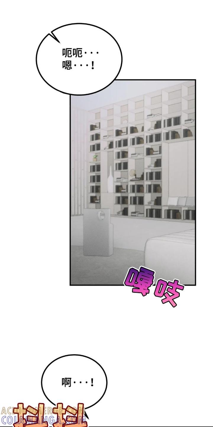 《暴动的追随》第73章：【第二季】不能留疤 第15页