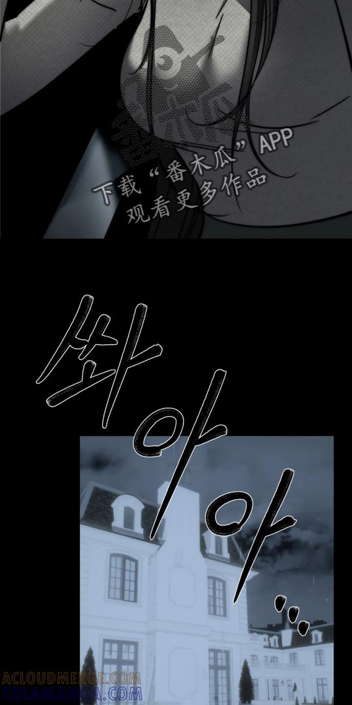 《暴动的追随》第89章：【第二季】吵架 第17页