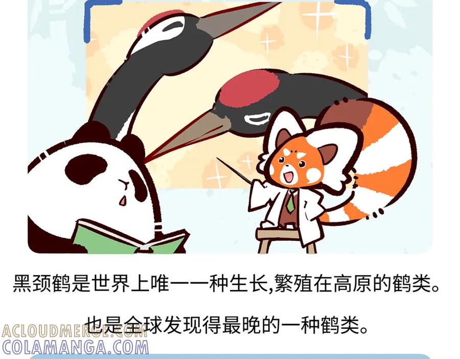 《胖达x胖达》第264话 第21页
