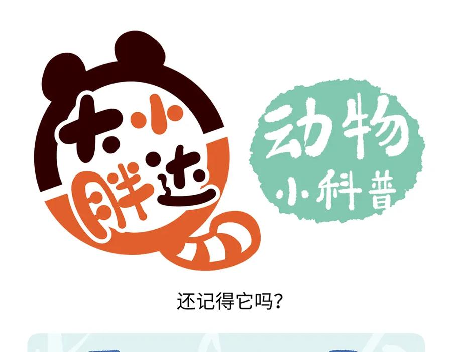 《胖达x胖达》第264话 第20页