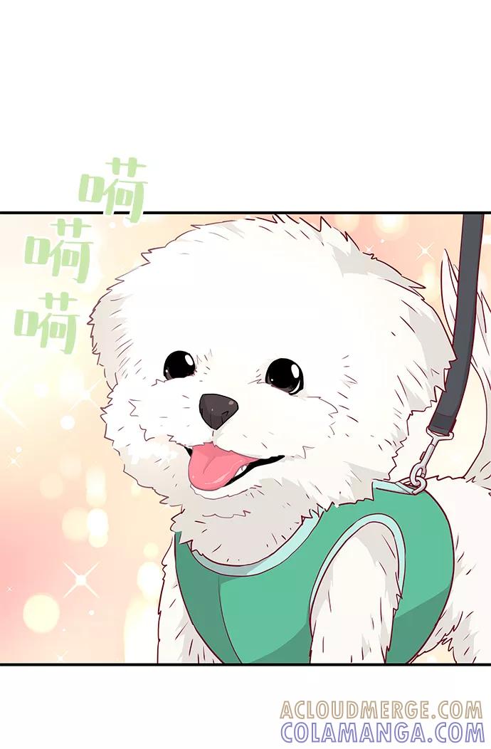 《那小子征服记》第67话 第28页
