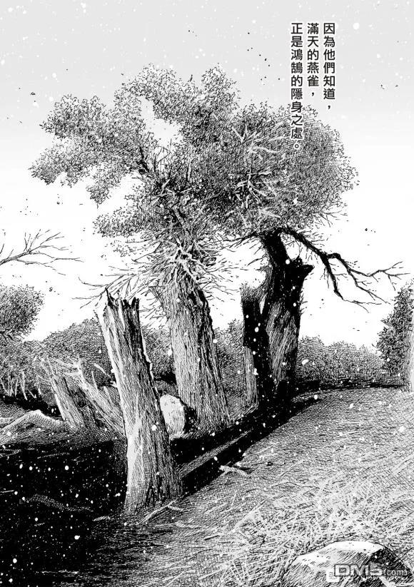 火凤燎原 第529回 最后一课 第4页