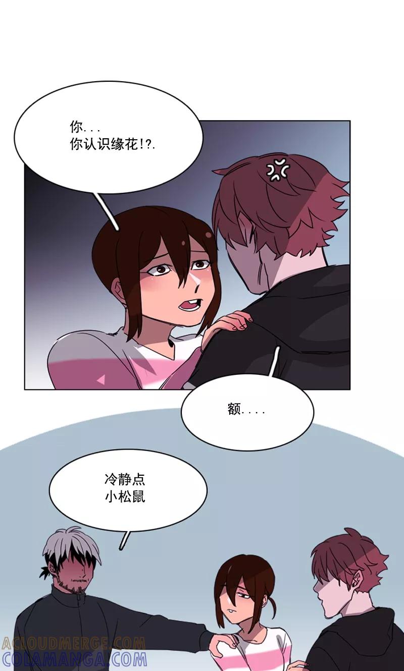 《月亮》第22话 远房亲戚 第11页