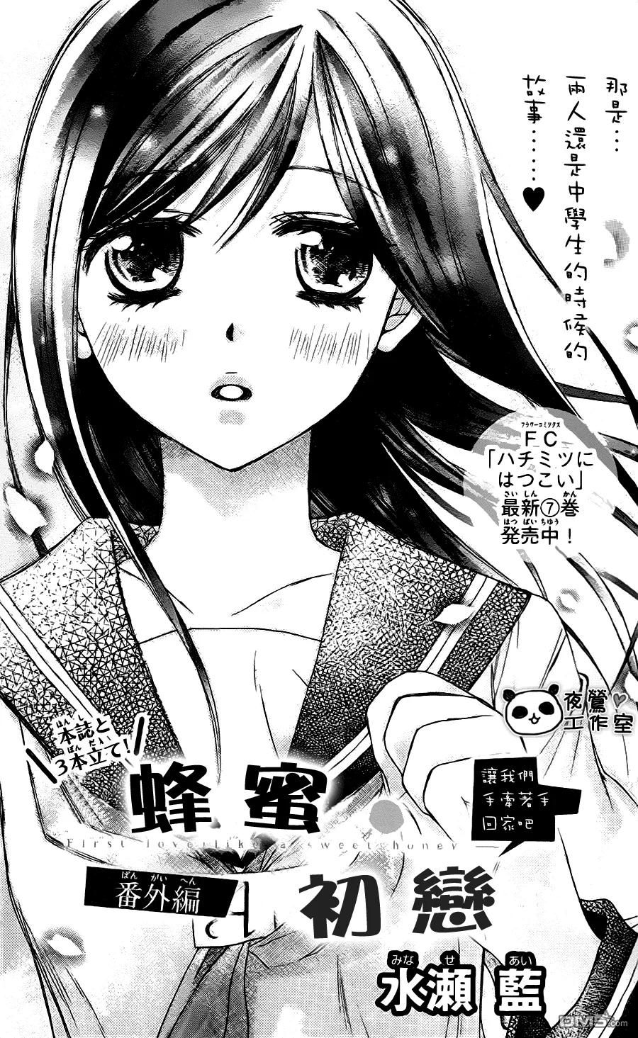 《蜂蜜初恋》外传：第2话 番外2 第2页