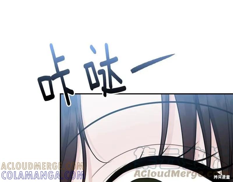 《明明是冷美人小姐却变成了忠犬大少爷》第78话 第117页