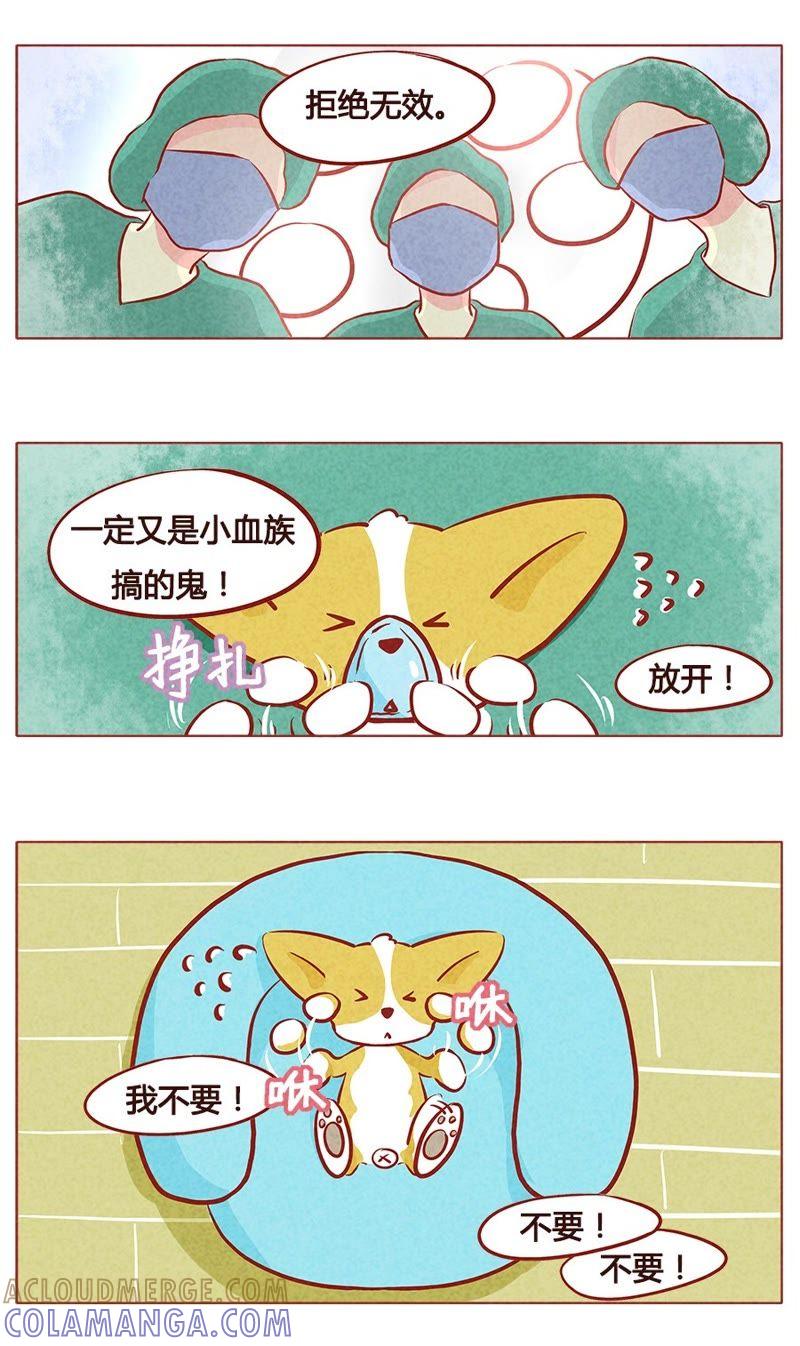 《妹妹？女儿？吸血鬼？》第八十一章 第4页