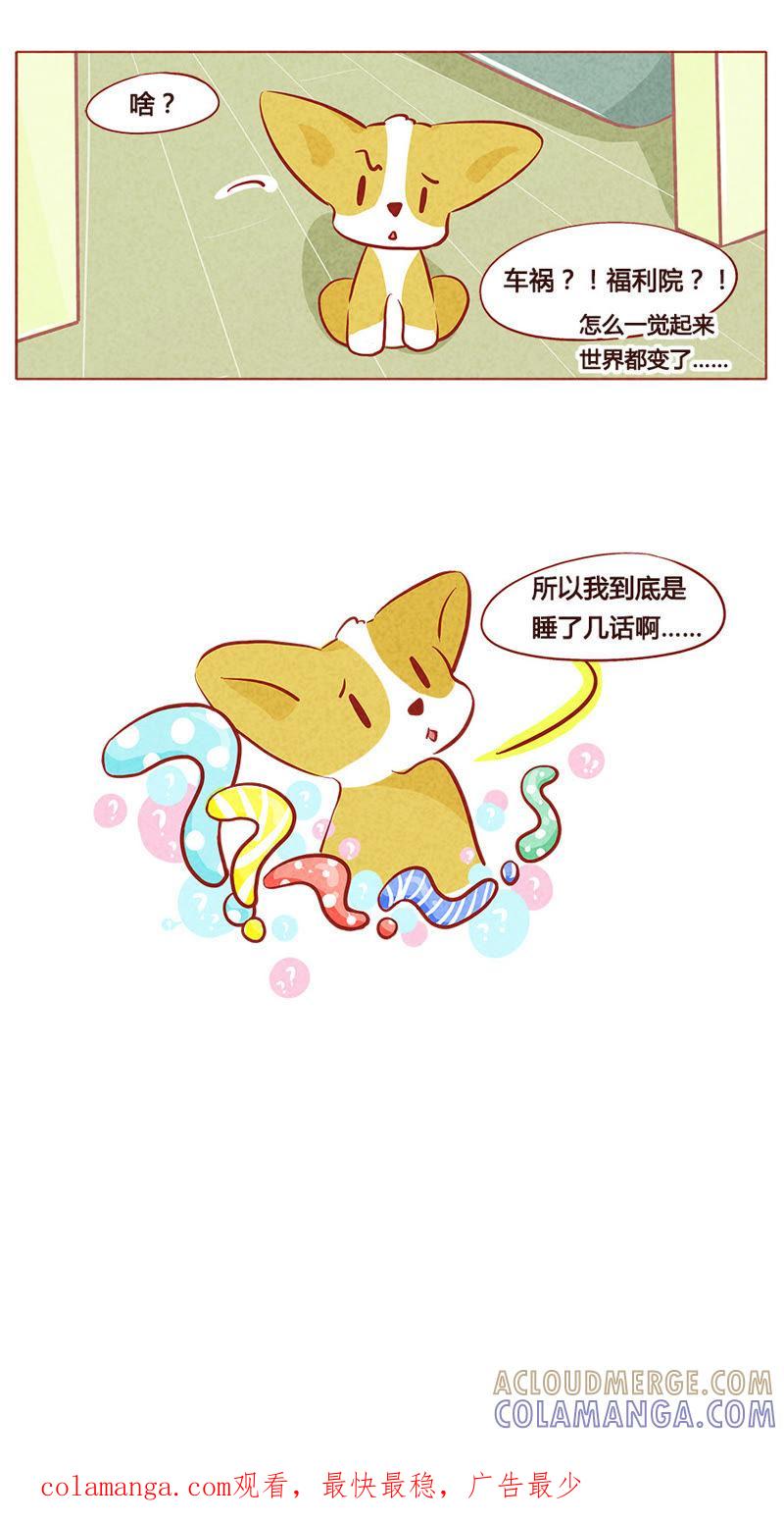 《妹妹？女儿？吸血鬼？》第八十一章 第11页