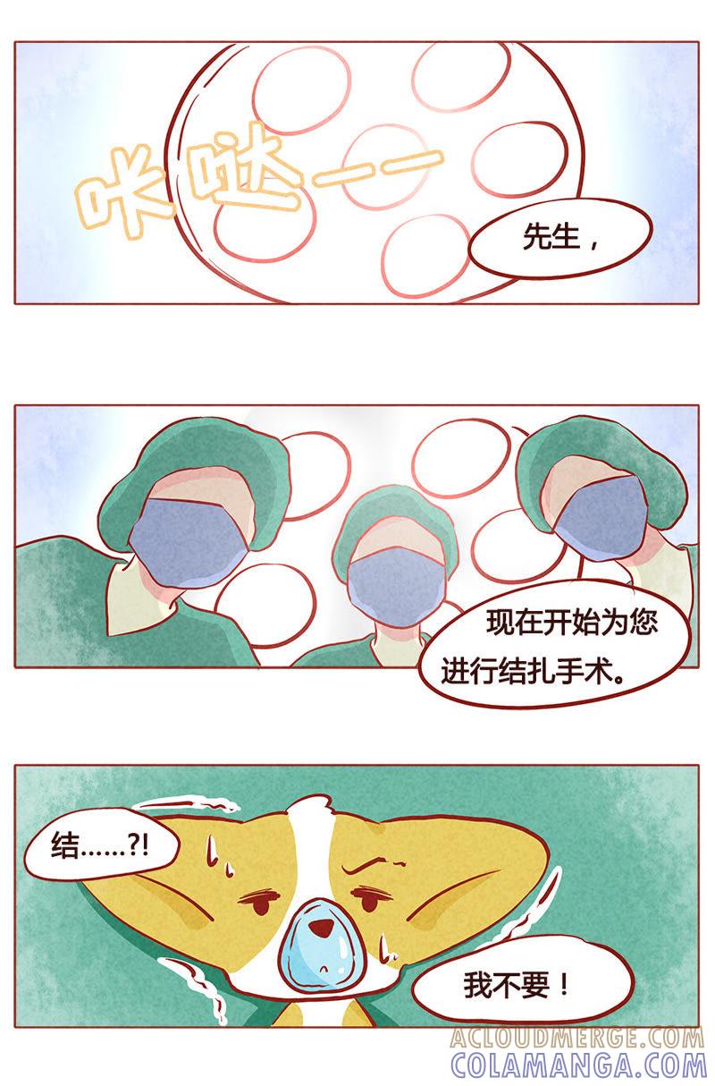 《妹妹？女儿？吸血鬼？》第八十一章 第3页