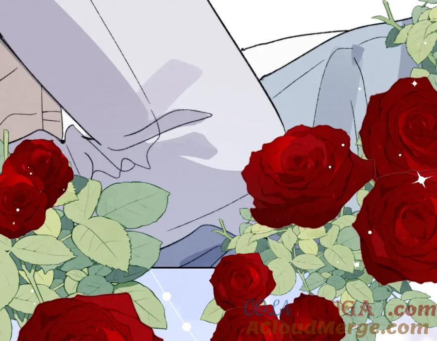 《戎先生的失恋日记》完结 戎戎和尧尧要一直幸福下去！ 第41页