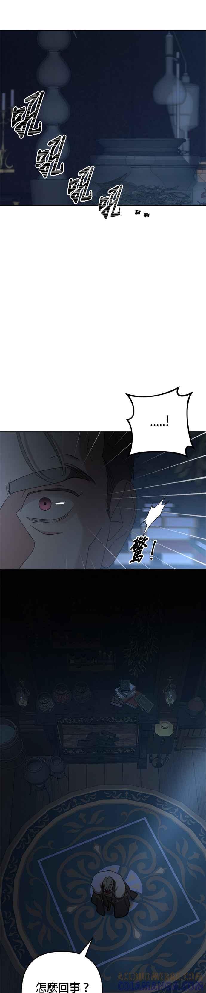 《皇帝倒转时光的理由》第95话 第52页