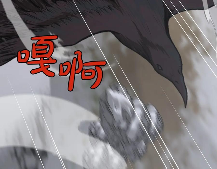《肉身太脆，只好修仙了》第24话 二公子讨伐山贼 第11页