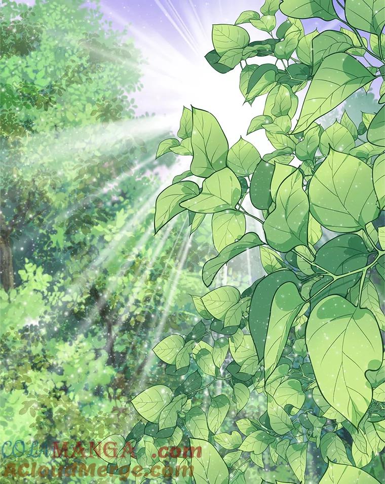 《重生为剑之达人》20.欢迎来到金塔 第17页