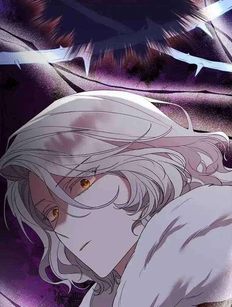 《大公家的狐狸皇女》52.等待哥哥苏醒 第54页