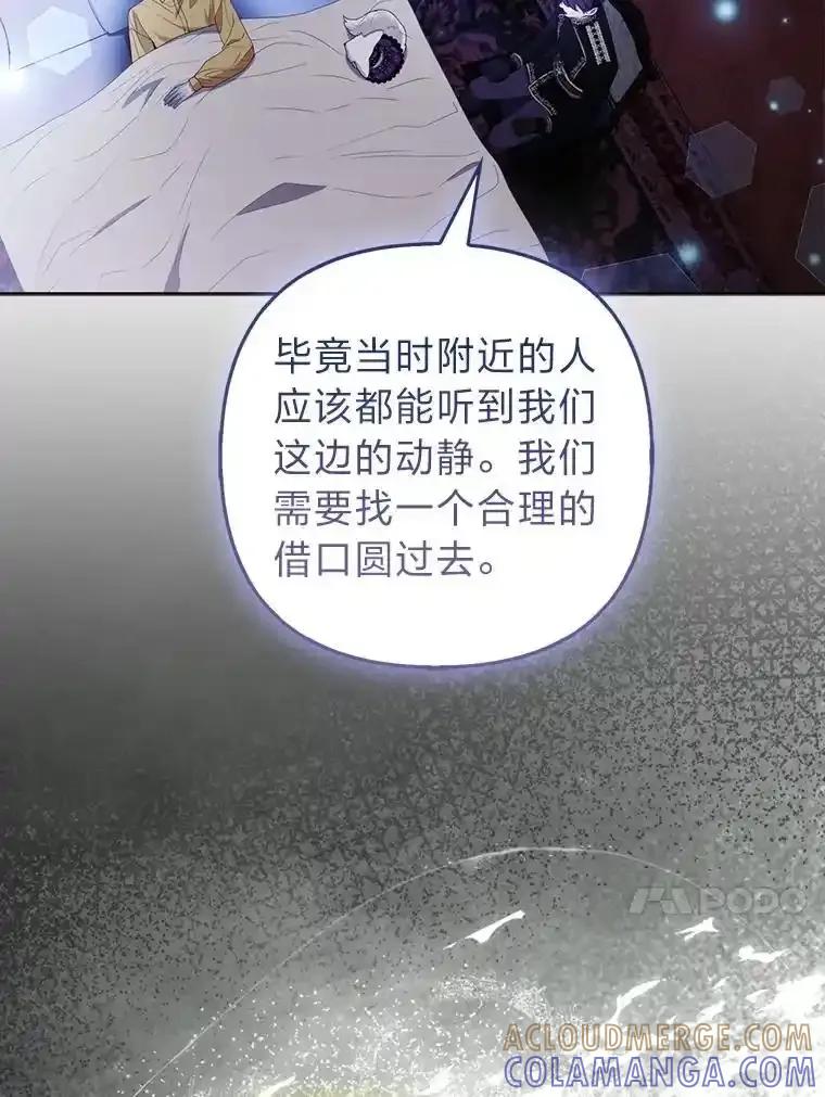 《大公家的狐狸皇女》52.等待哥哥苏醒 第13页