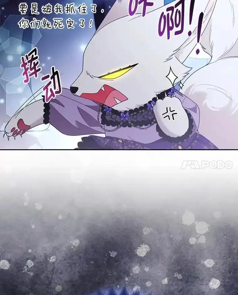 《大公家的狐狸皇女》52.等待哥哥苏醒 第20页