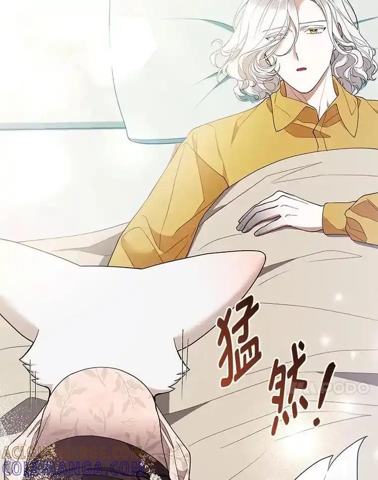 《大公家的狐狸皇女》52.等待哥哥苏醒 第45页