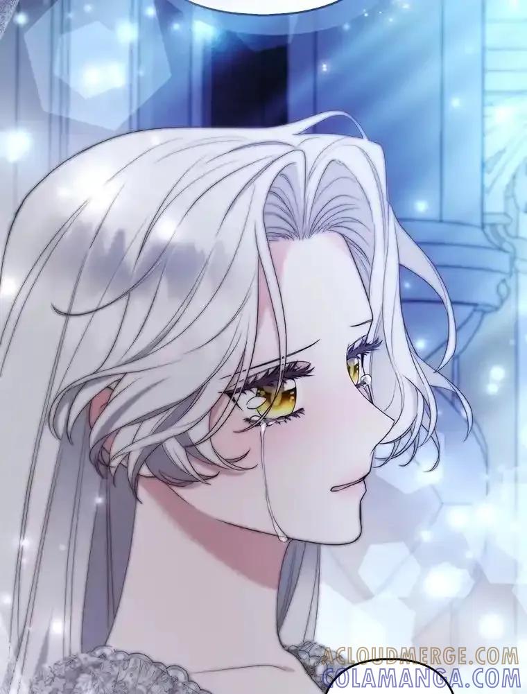 《大公家的狐狸皇女》52.等待哥哥苏醒 第93页