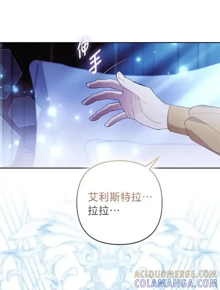 《大公家的狐狸皇女》52.等待哥哥苏醒 第89页