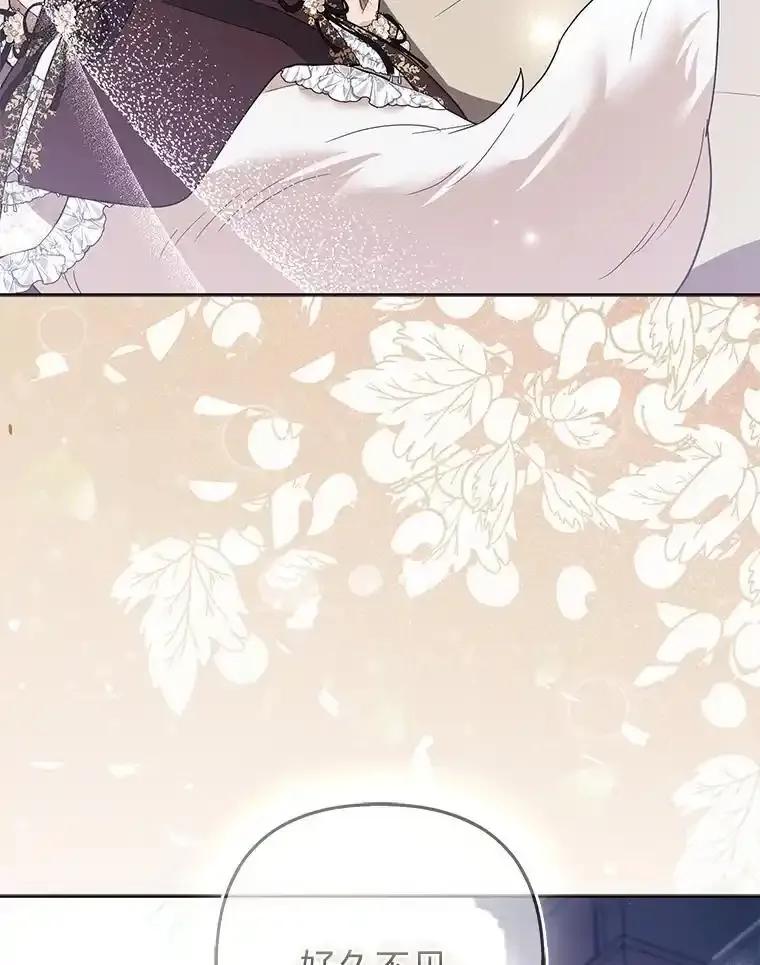 《大公家的狐狸皇女》52.等待哥哥苏醒 第46页