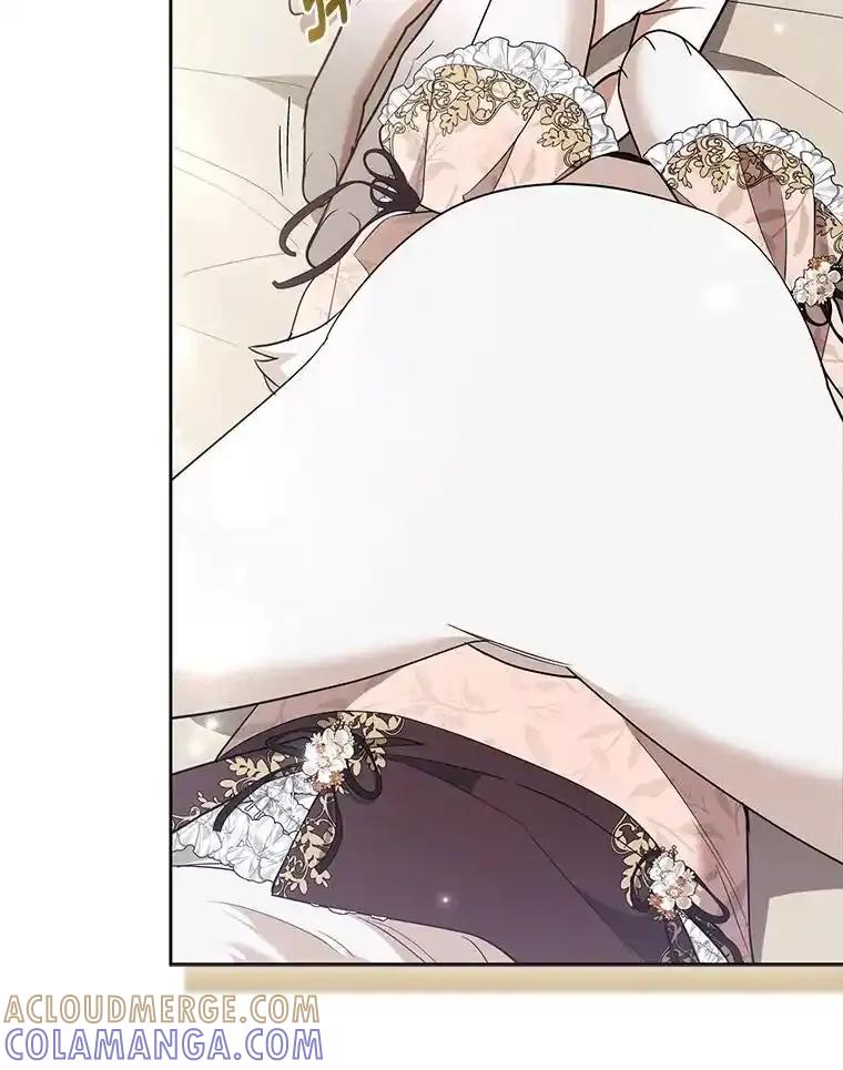 《大公家的狐狸皇女》52.等待哥哥苏醒 第41页