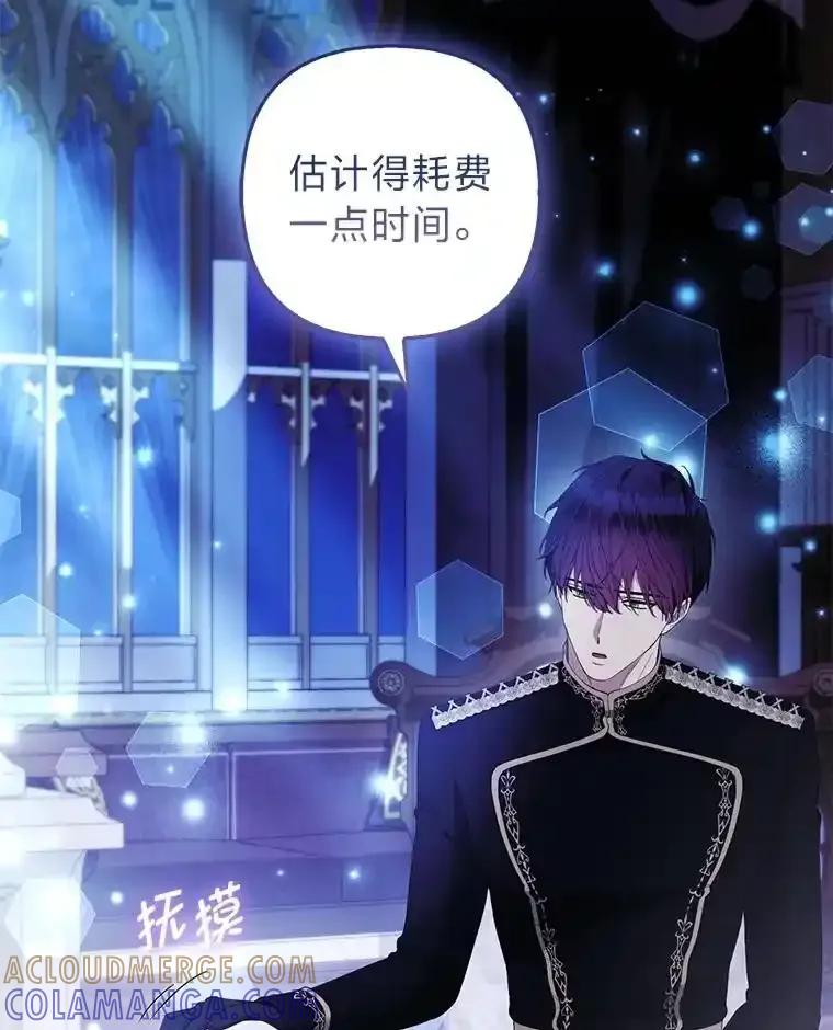 《大公家的狐狸皇女》52.等待哥哥苏醒 第25页