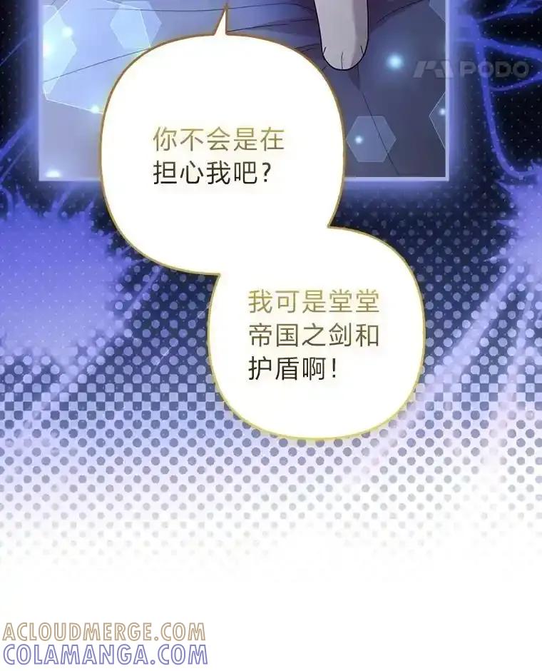 《大公家的狐狸皇女》52.等待哥哥苏醒 第17页