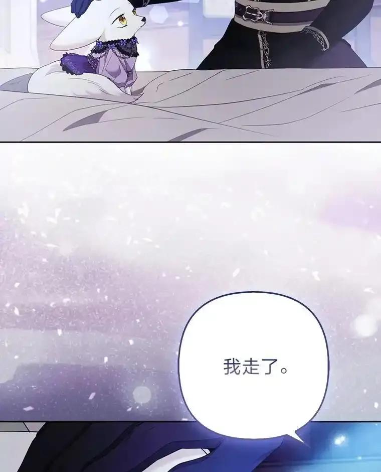 《大公家的狐狸皇女》52.等待哥哥苏醒 第26页