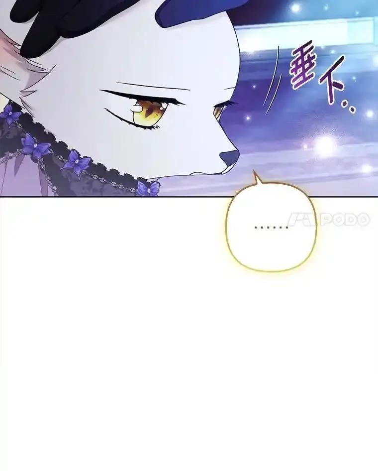 《大公家的狐狸皇女》52.等待哥哥苏醒 第27页