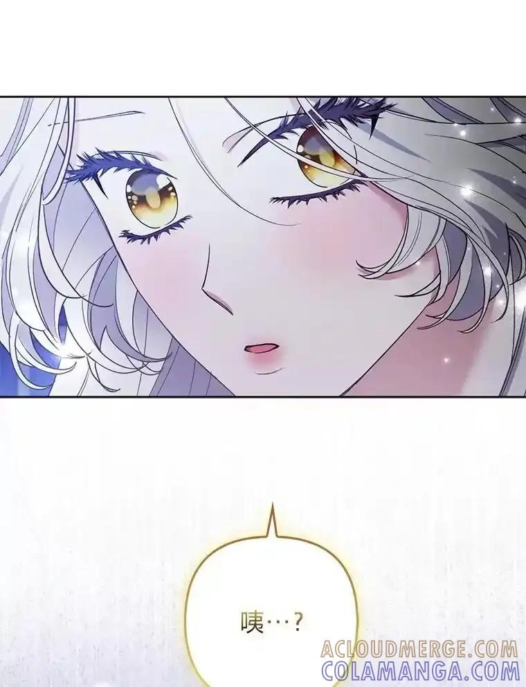 《大公家的狐狸皇女》52.等待哥哥苏醒 第77页