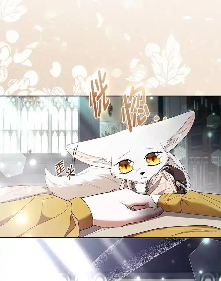 《大公家的狐狸皇女》52.等待哥哥苏醒 第43页