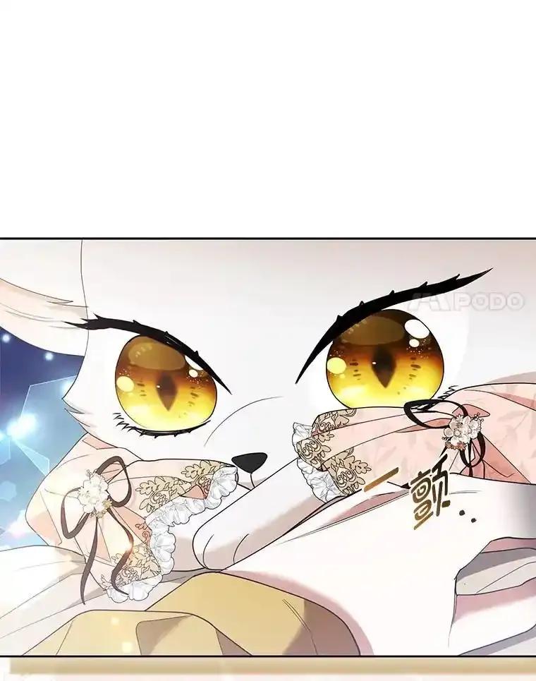 《大公家的狐狸皇女》52.等待哥哥苏醒 第42页