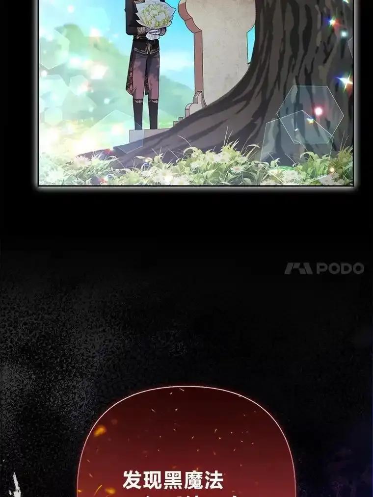 《大公家的狐狸皇女》53.和好如初 第62页