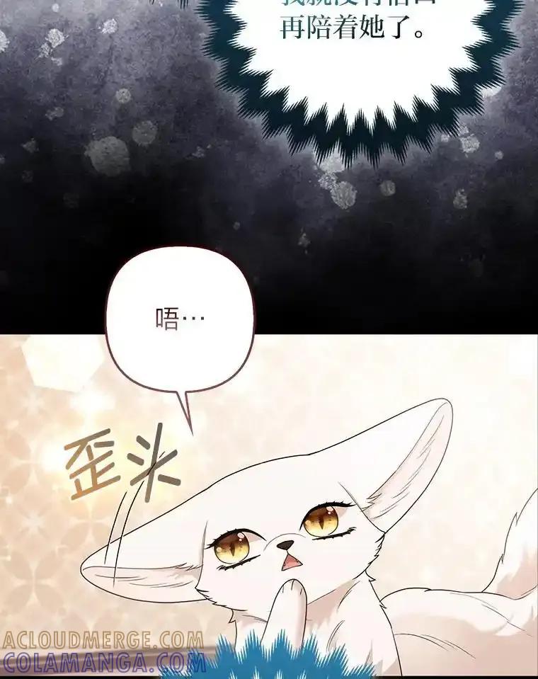 《大公家的狐狸皇女》54.回大公家 第9页