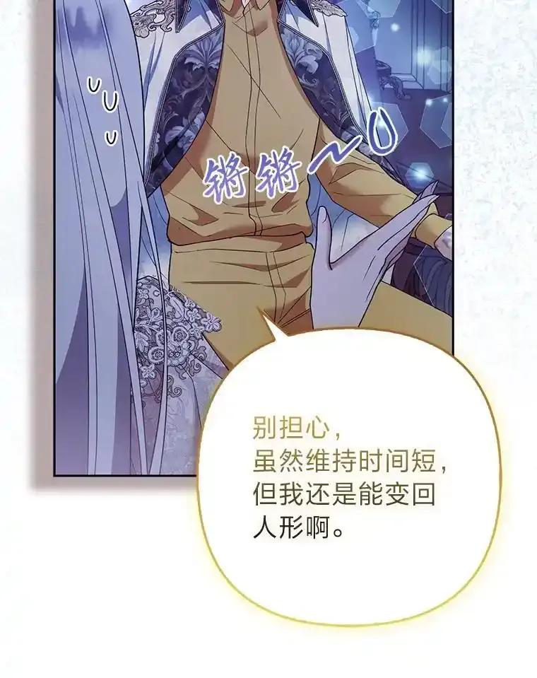 《大公家的狐狸皇女》54.回大公家 第3页