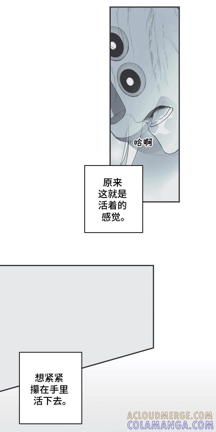 《蛇环凶危》第104章：【第三季】活着的感觉 第11页