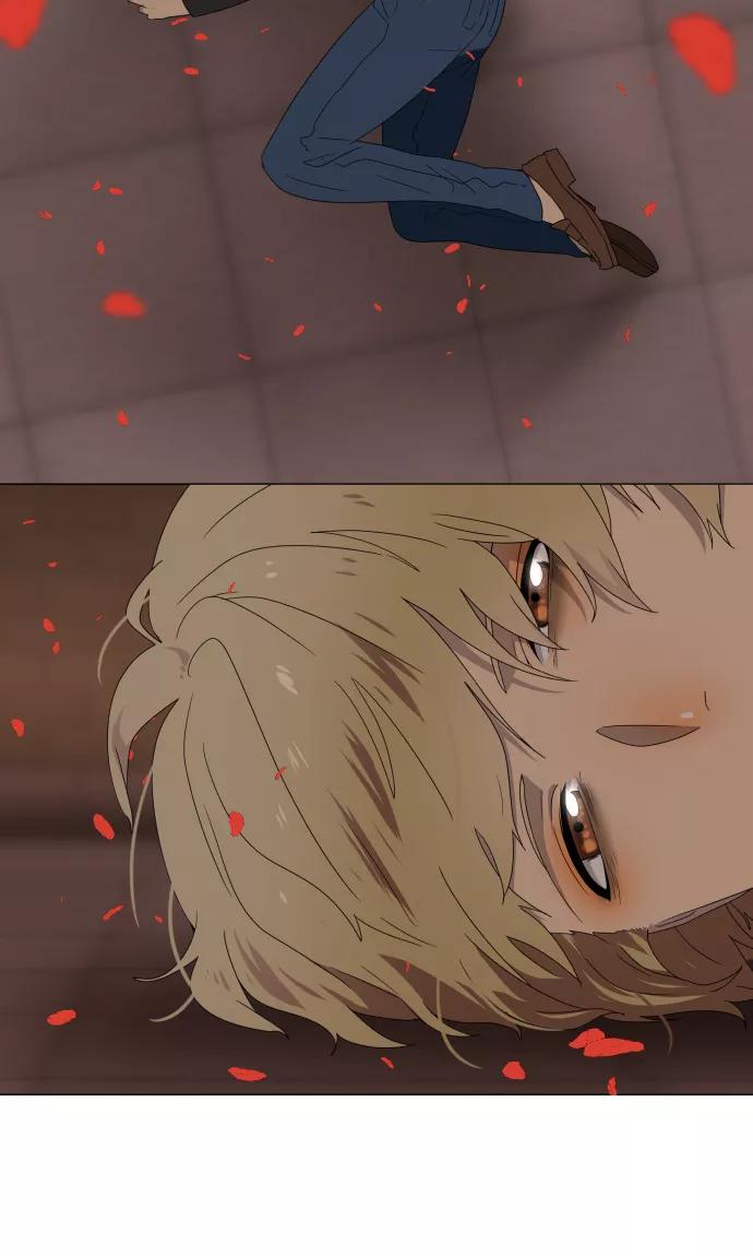 《守护你的心脏》第36话 见证结局 第23页