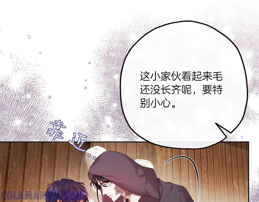 《如果疯狗拎起棍子》第17话 动力 第17页