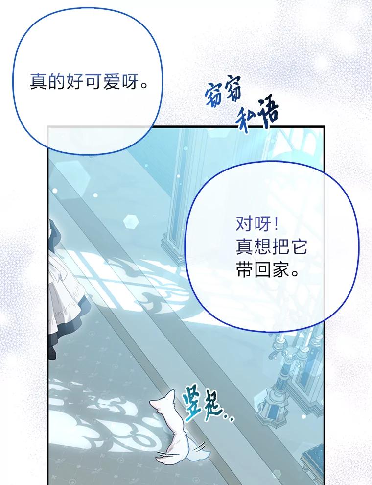 《大公家的狐狸皇女》10.侄子的请求 第12页