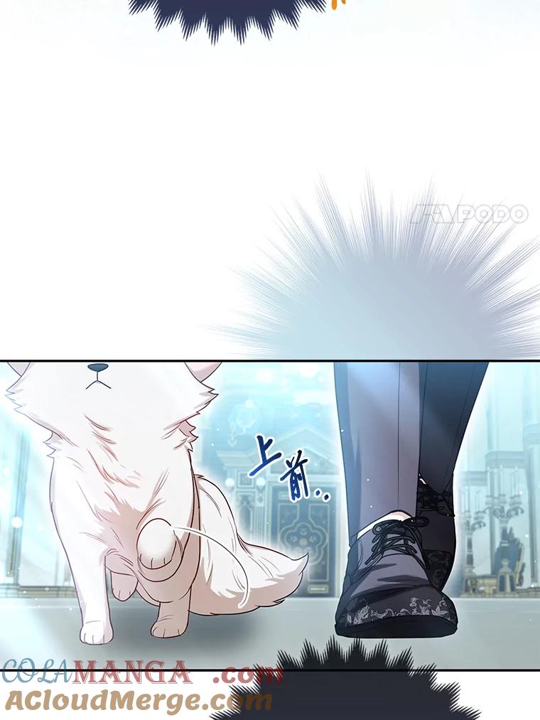 《大公家的狐狸皇女》10.侄子的请求 第17页