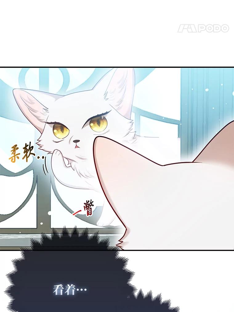 《大公家的狐狸皇女》10.侄子的请求 第14页