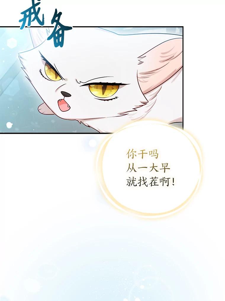 《大公家的狐狸皇女》10.侄子的请求 第19页