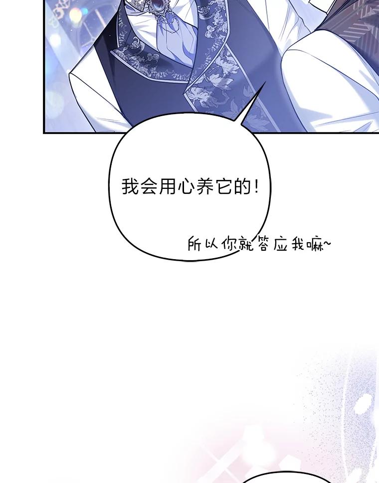 《大公家的狐狸皇女》10.侄子的请求 第88页