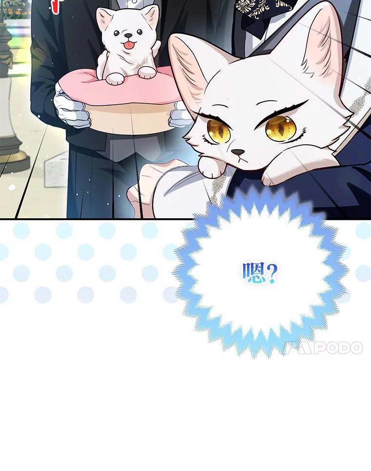 《大公家的狐狸皇女》11.各自的朋友 第44页