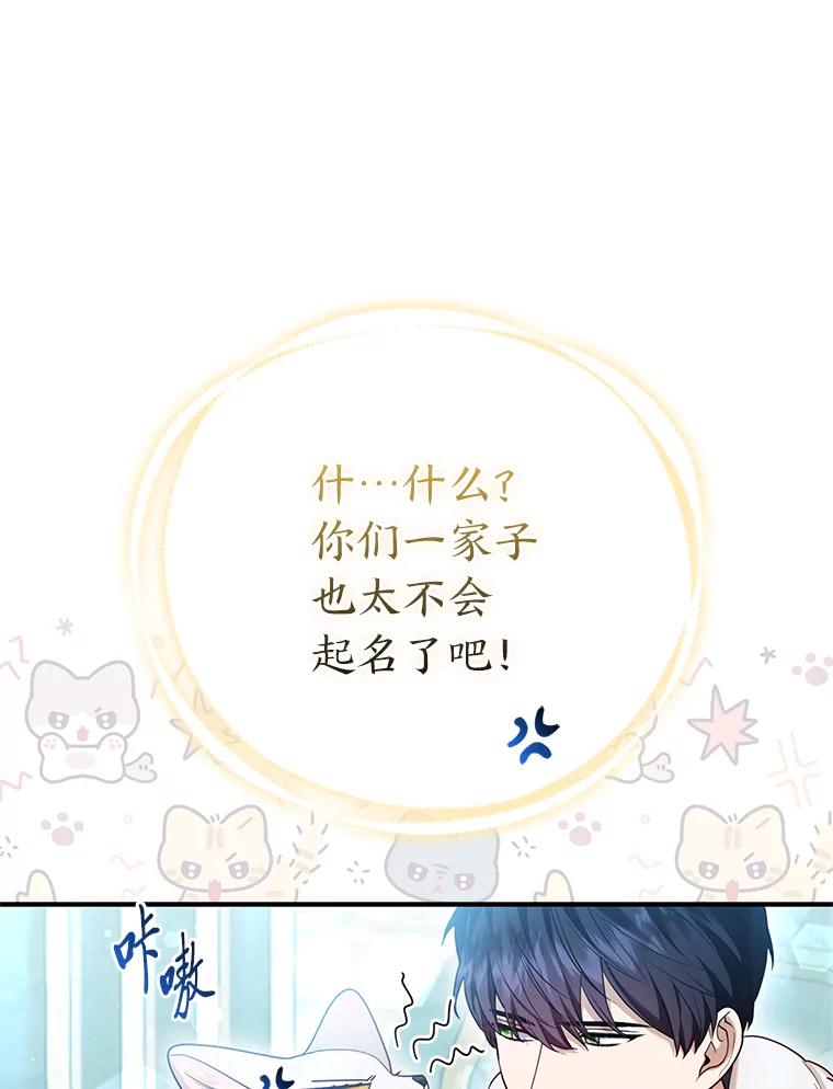 《大公家的狐狸皇女》11.各自的朋友 第88页