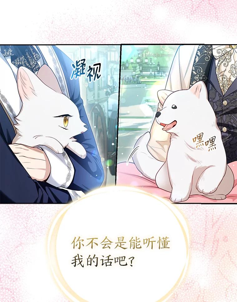 《大公家的狐狸皇女》11.各自的朋友 第52页