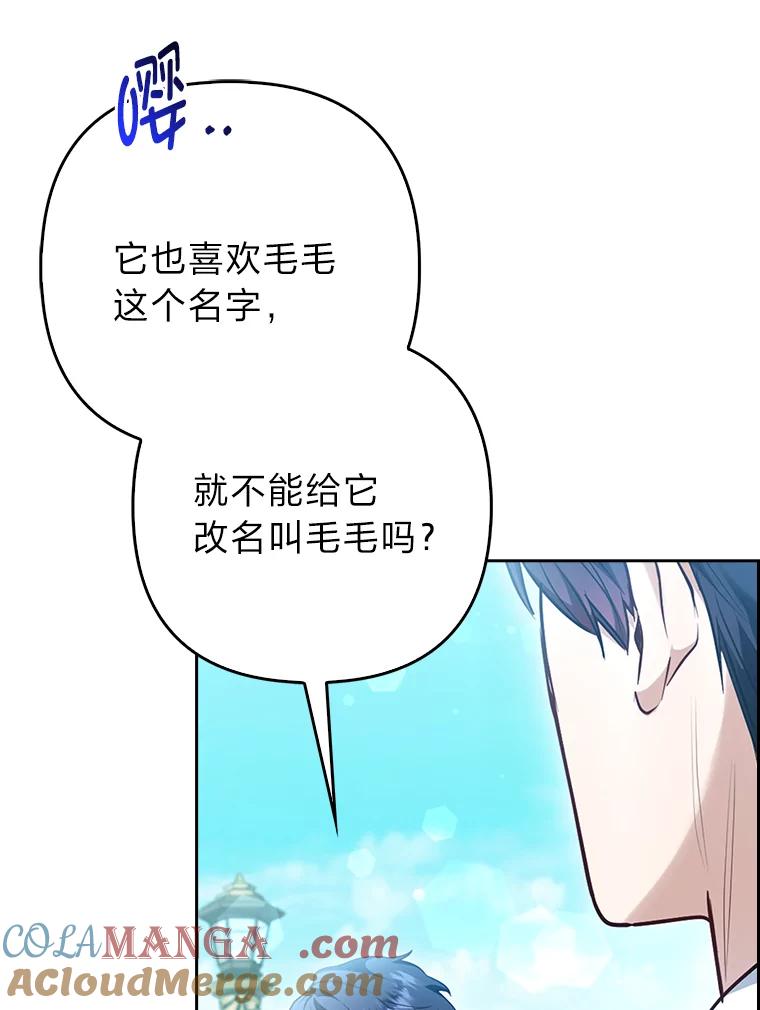 《大公家的狐狸皇女》11.各自的朋友 第29页
